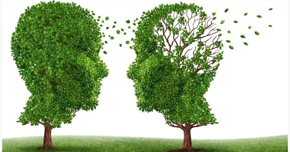 Studies Show Link Between Dementia & Untreated Hearing Loss